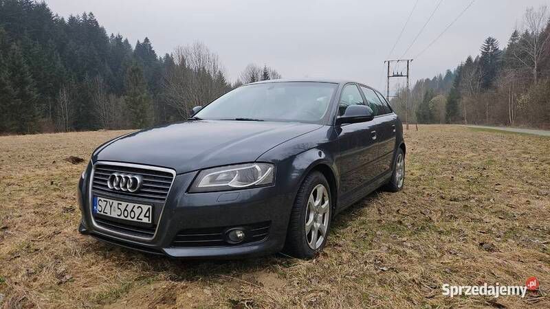 Używany 2010 Audi A3 Ambition | 24 500 zł (Dość drogi) - Obraz 1/4