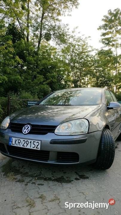 Szary Używany 2004 VW Golf V Hatchback | 8000 zł (Uczciwa cena) - Obraz 1/4