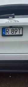 Obraz 4/4
