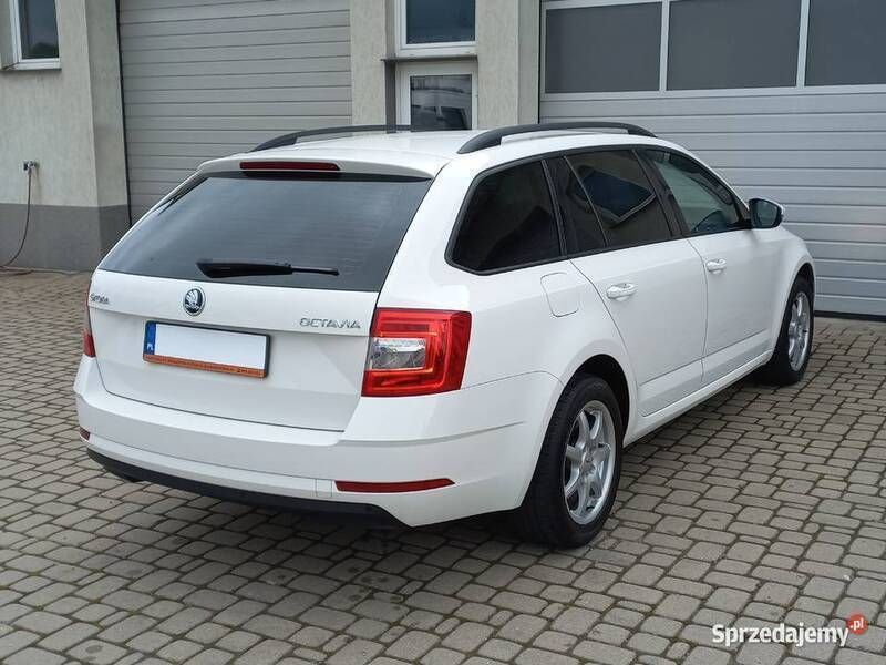 Używany Skoda Octavia 2019 Biały Sedan/Limuzyna