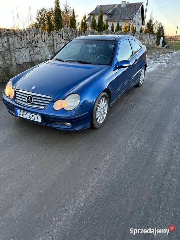 Obraz 3/4