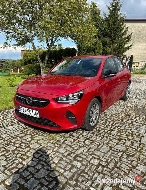Używany Opel Corsa 2020 Sedan/Limuzyna