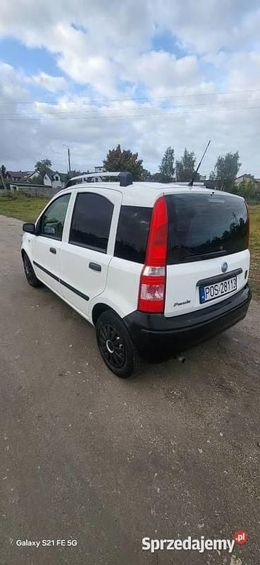 Biały Używany 2005 Fiat Panda Hatchback | 3500 zł (Uczciwa cena) - Obraz 1/4