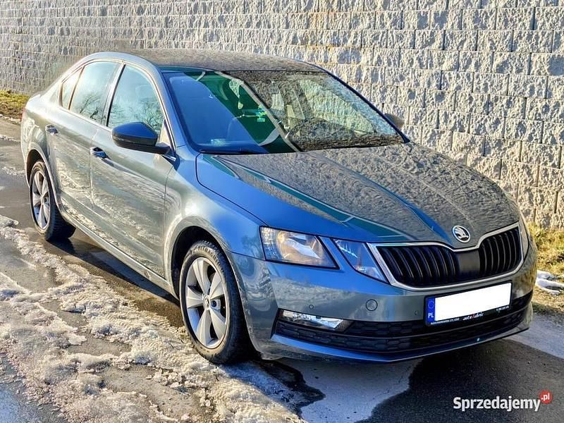 Używany Skoda Octavia 116 KM (85 kW) 2018 Szary (metalik) Sedan/Limuzyna