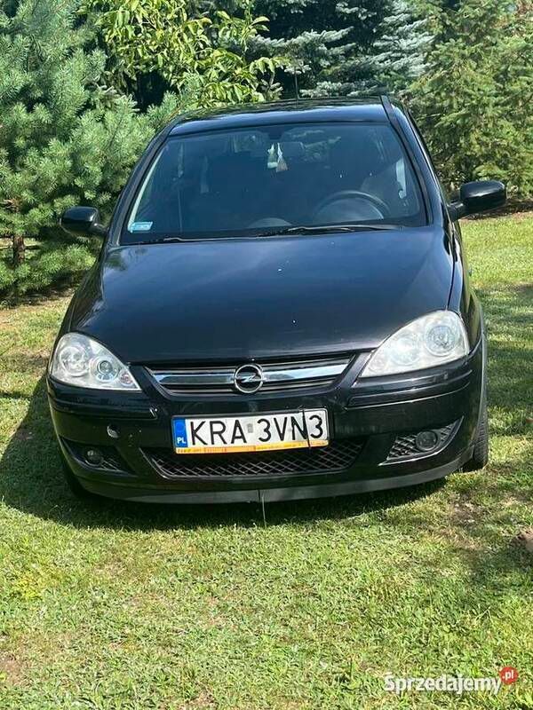 Obraz 4/4
