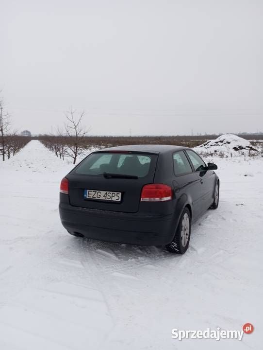Używany Audi A3 S-Line 140 KM (102 kW) 2007 Hatchback