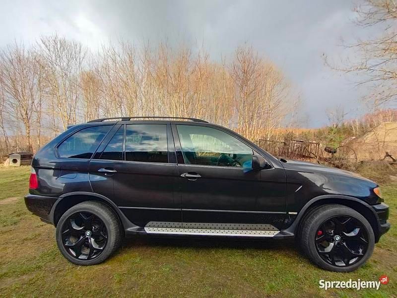Używany 2004 BMW X5 SUV | 16 500 zł (Uczciwa cena) - Obraz 1/4