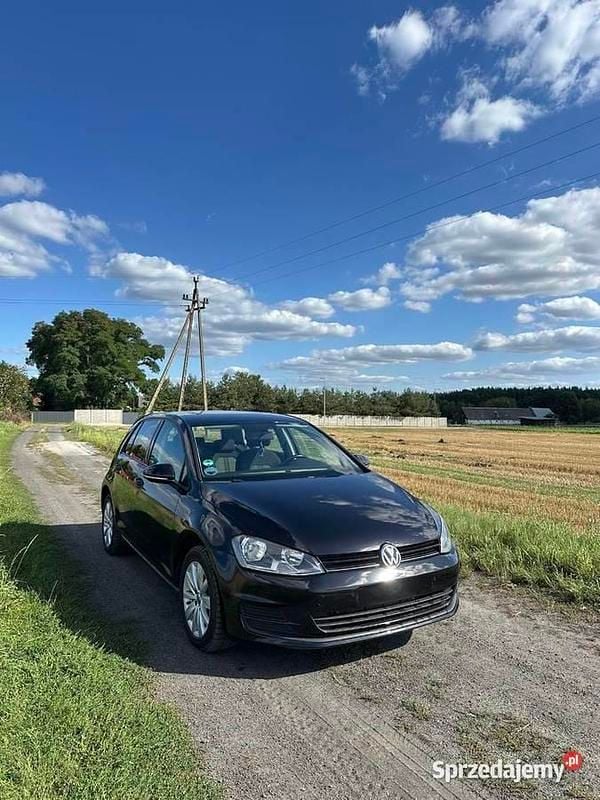Używany 2013 VW Golf VII Allstar | 43 000 zł (Dość drogi) - Obraz 1/4
