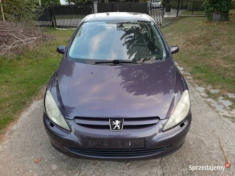 Fioletowy Używany 2002 Peugeot 307 Sport Hatchback | 9999 zł (Drogi) - Obraz 1/4