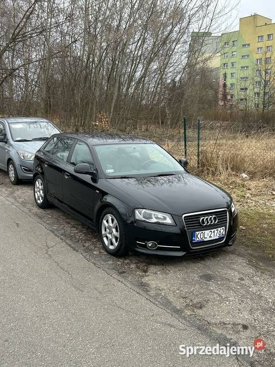 Obraz 4