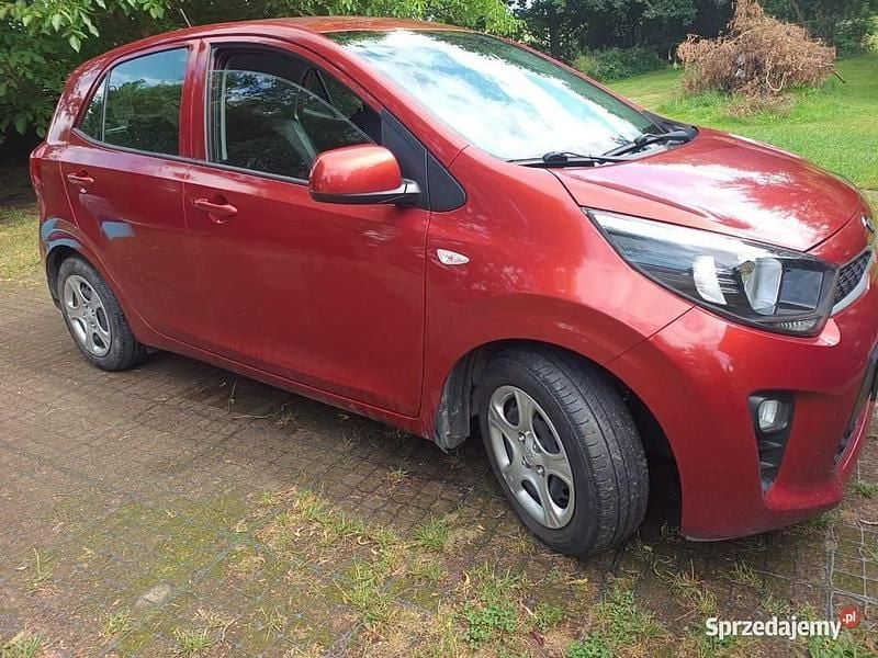 Używany Kia Picanto 67 KM (49 kW) 2017 Pomarańczowy Hatchback