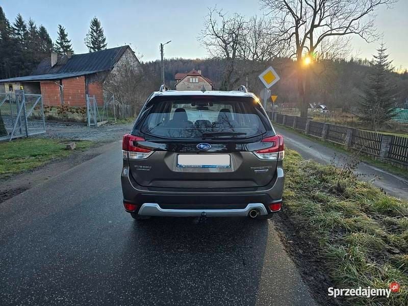 Używany Subaru Forester 2020 Brązowy SUV