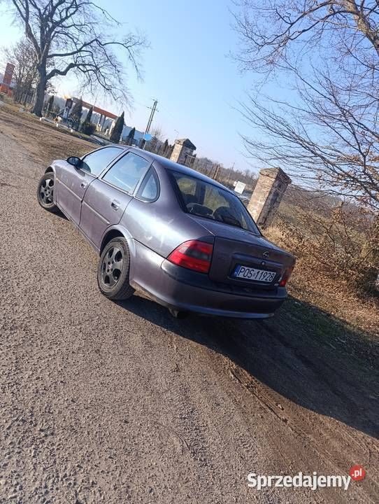 Używany Opel Vectra 1997