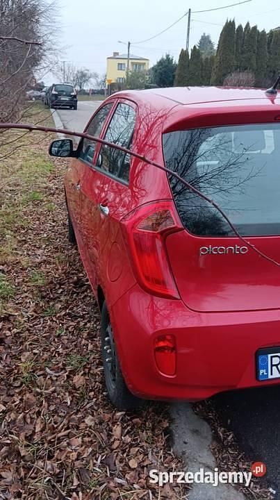 Używany Kia Picanto 2013 Hatchback