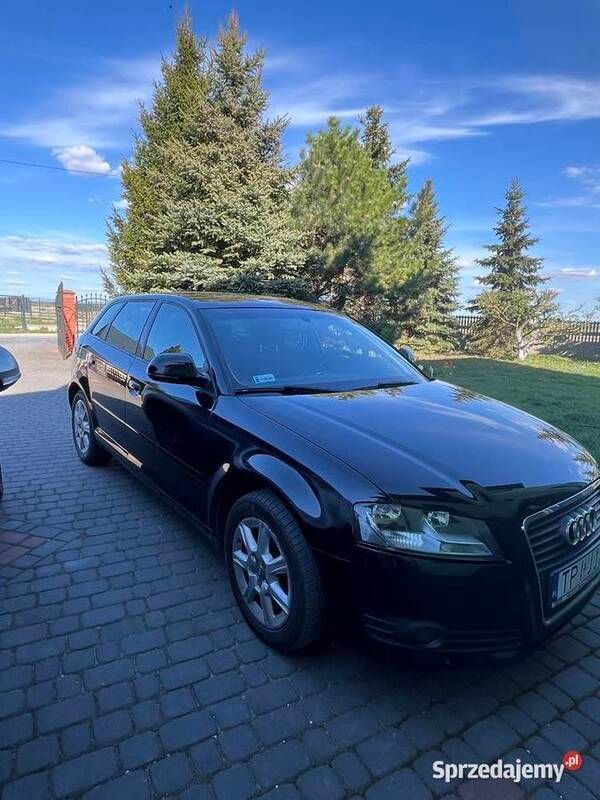 Czarny Używany 2009 Audi A3 Hatchback | 24 000 zł (Uczciwa cena) - Obraz 1/4