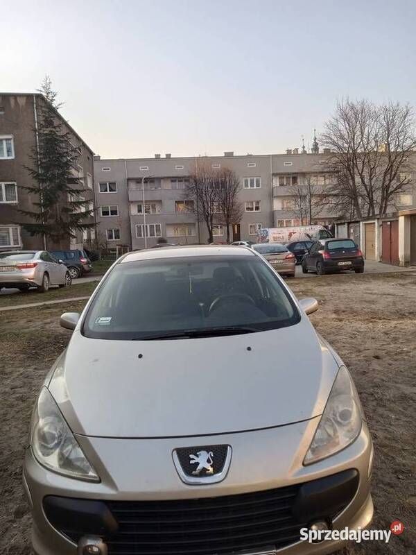 Używany 2007 Peugeot 307 | 3500 zł (Uczciwa cena) - Obraz 1/4