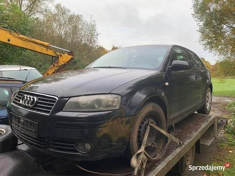Używany 2004 Audi A3 | 1000 zł - Obraz 1/4