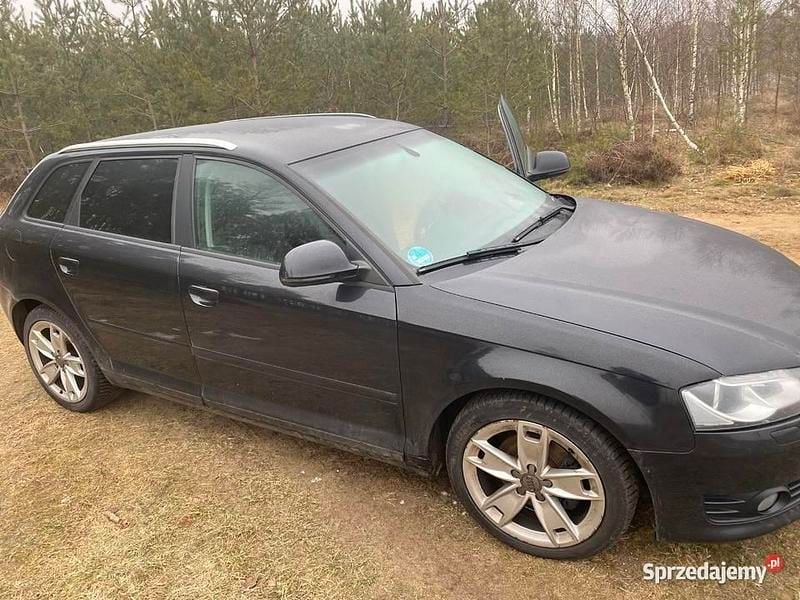 Używany 2008 Audi A3 | 12 999 zł (Uczciwa cena) - Obraz 1/4