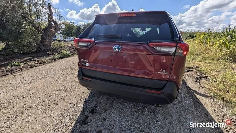 Bordowy Używany 2024 Toyota RAV4 Hybrid Premium SUV | 95 000 zł - Obraz 1/4
