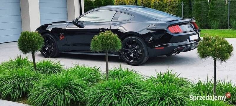 Używany Ford Mustang GT 2017 Czarny Coupe