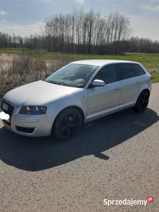 Używany 2008 Audi A3 | 21 500 zł (Dość drogi) - Obraz 1/4