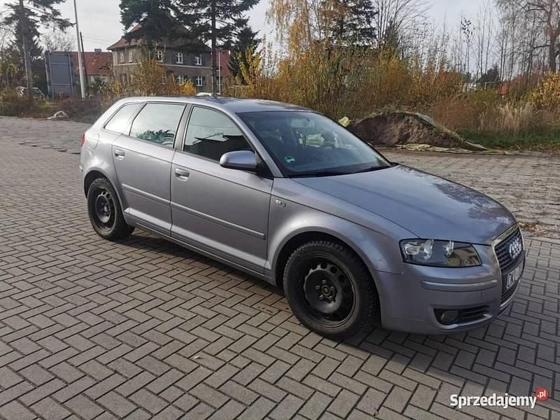 Grafitowy Używany 2004 Audi A3 Hatchback | 11 400 zł (Uczciwa cena) - Obraz 1/4