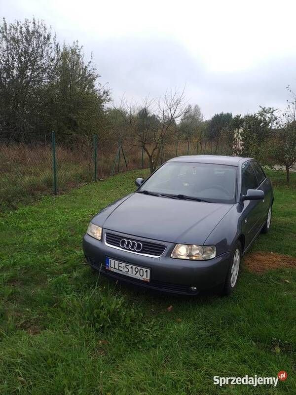 Używany 2002 Audi A3 | 6300 zł (Dość drogi) - Obraz 1/4