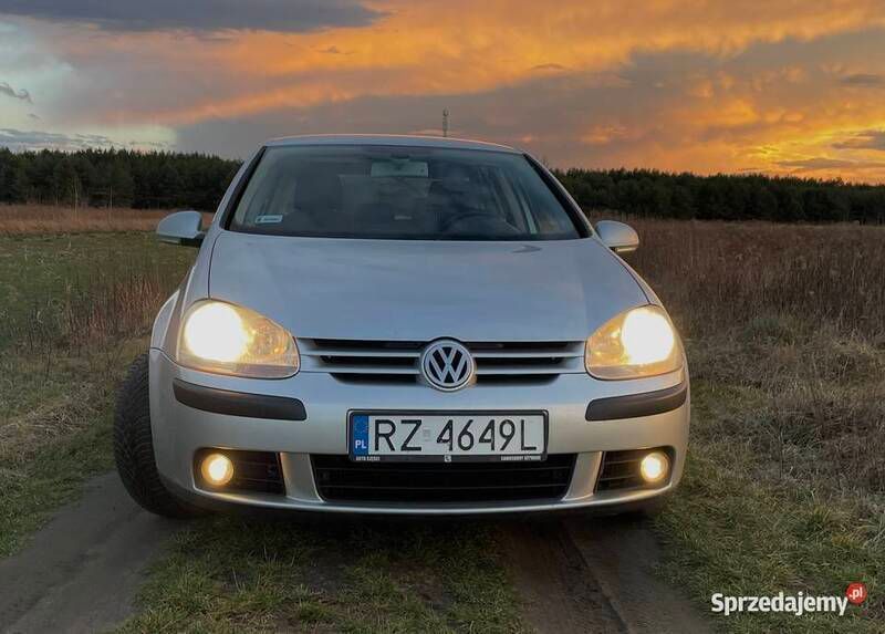 Srebrny Używany 2004 VW Golf V Comfortline Hatchback | 8000 zł (Uczciwa cena) - Obraz 1/4