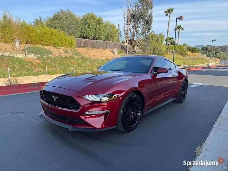 Używany 2019 Ford Mustang GT | 100 000 zł - Obraz 1/4