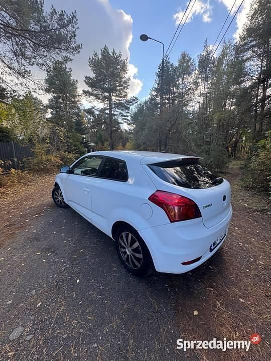 Biały Używany 2009 Kia ProCeed Hatchback | 8500 zł - Obraz 1/4