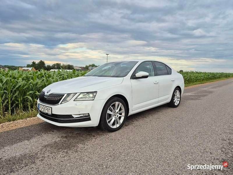 Używany Skoda Octavia 150 KM (110 kW) 2019 Biały Sedan/Limuzyna