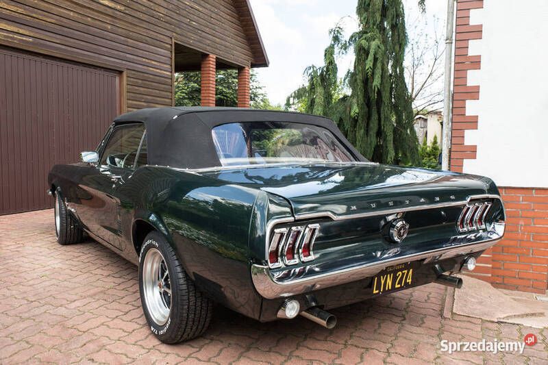 Używany 1967 Ford Mustang | 250 000 zł - Obraz 1/4