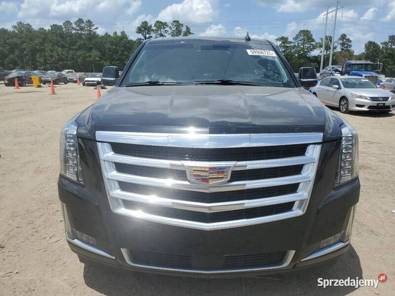 Używany Cadillac Escalade 2019 SUV
