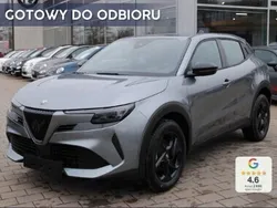 Szary Nowe 2025 Alfa Romeo Stelvio SUV | 123 400 zł