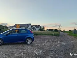 Używany 2006 Fiat Grande Punto Hatchback | 2999 zł (Dobra cena)