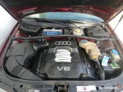 Używany 1998 Audi A4 Comfort | 7300 zł (Dość drogi)