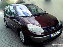 Wiśniowy Używany 2004 Renault Scénic II Minivan | 6000 zł (Uczciwa cena)