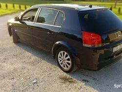 Niebieski Używany 2006 Opel Signum Kombi | 6000 zł