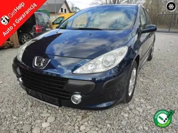 Niebieski Używany 2007 Peugeot 307 Hatchback | 9200 zł (Uczciwa cena)