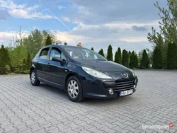 Granatowy Używany 2005 Peugeot 307 | 4300 zł (Uczciwa cena)