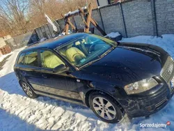 Czarny Używany 2006 Audi A3 Hatchback | 13 500 zł (Super Cena)