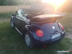 Używany 2004 VW Beetle | 9900 zł (Uczciwa cena)