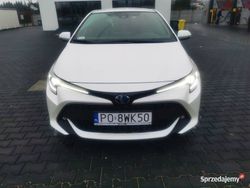 Używany 2019 Toyota Corolla | 63 000 zł