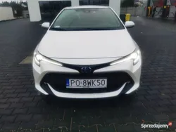 Używany 2019 Toyota Corolla | 70 000 zł (Dobra cena)