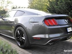 Szary Używany 2016 Ford Mustang Coupe | 82 000 zł (Dość drogi)