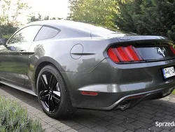 Szary Używany 2016 Ford Mustang Coupe | 82 000 zł (Uczciwa cena)