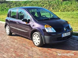 Fioletowy Używany 2006 Renault Modus Minivan | 8900 zł (Uczciwa cena)