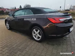 Brązowy Używany 2017 Opel Cascada Kabriolet | 40 000 zł