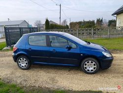 Niebieski Używany 2001 Peugeot 307 Hatchback | 3500 zł (Uczciwa cena)