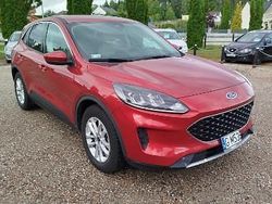 Wiśniowy Używany 2020 Ford Escape SUV | 74 900 zł (Dość drogi)